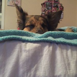 Meet your Posher, Linlee